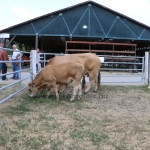 Farmer-expo 2022